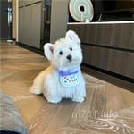 Avatar de Carmina Valadez